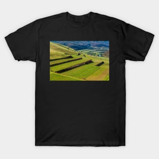 Kaiserstuhl, South-West Germany T-Shirt